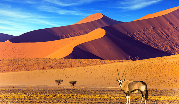 Namib Desert Handshake