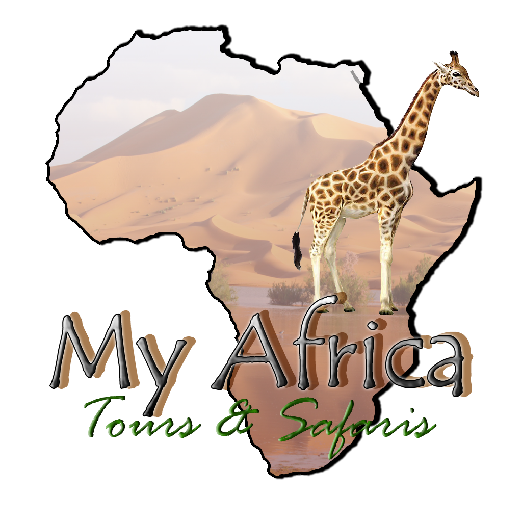 My Africa Tours and Safari